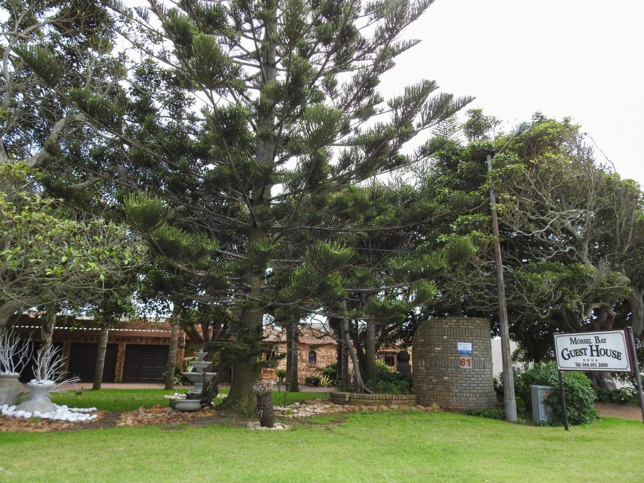 Mossel Bay Guest House מראה חיצוני תמונה
